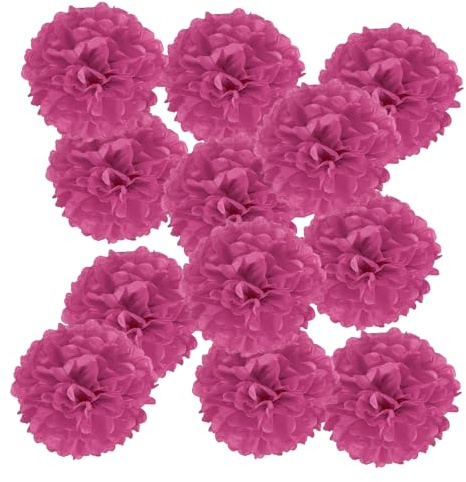 PATIKIL Pompones de Papel de 25cm, Kit de 12pcs Bolas de Flores de Papel para Decoración de Fiestas de Cumpleaños, Navidad, Boda, Ducha Nupcial, Manualidades DIY, Rojo Rosa