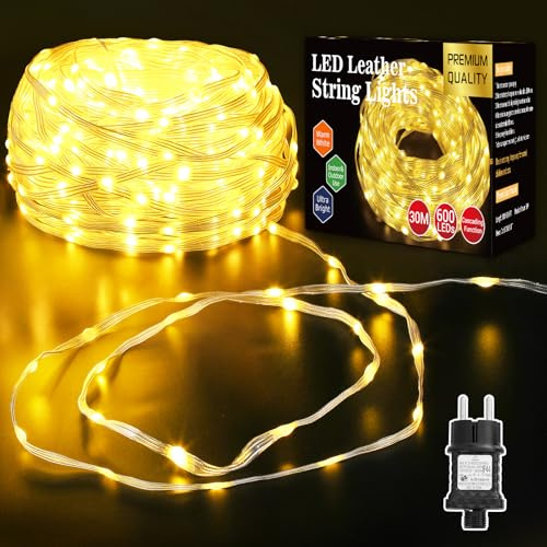 GlobaLink 30M LED Lichtschlauch, 600er LED Weihnachtsbeleuchtung Außen Strom IP65 Wasserdicht, Schlauch Lichterkette PVC-Draht 9 Modi für Innen Außen Garten Hochzeit Party Weihnachten Deko - warmweiß