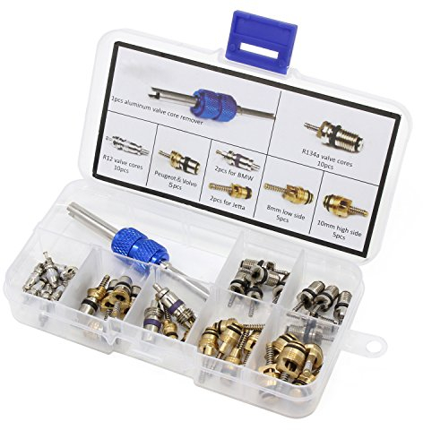 HSeaMall 40 STÜCKE A/C Ventilkern R12 R134a Automotive Klimaanlage Kälte Reifen Ventilschaft Kernen Remover Tool Sortiment Kit