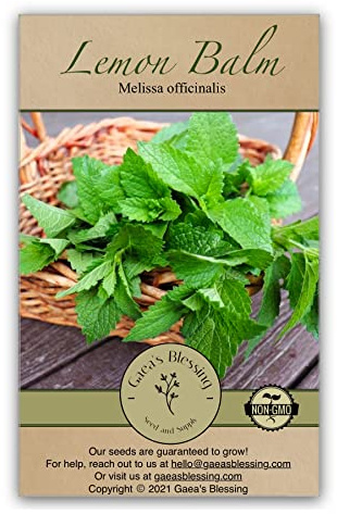 Gaea's Blessing Seeds - Lemon Balm Seeds - Non-GMO Seeds with Easy to Follow Planting Instructions - 92% Germination Rate Melissa Officinalis