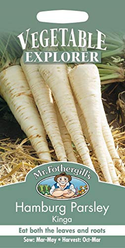 Mr - Vegetale - Prezzemolo Amburgo Kinga - 100 Semi:Grani