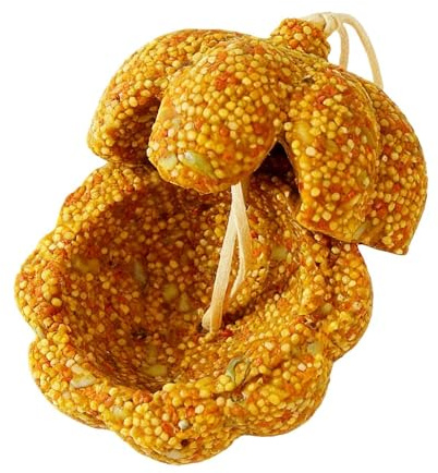 Fågel Snack Toy - Pumpa Design Naturliga tuggtillbehör Stabil, Djurbur Beläggning Mathållare, Säker gnaghjälpmedelsstruktur Hållbar, interaktiva husdjurstillbehör Produkt | Mångsidig S