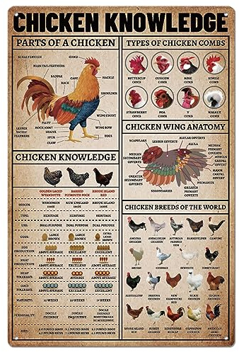SUPERDANT Farm Chicken Knowledges Cartel de Chapa de Metal Placa de Pintura de Hojalata de Granja Vintage Póster de Arte de Pared Cartel de Aluminio de Moda Antigua 20 × 30 CM