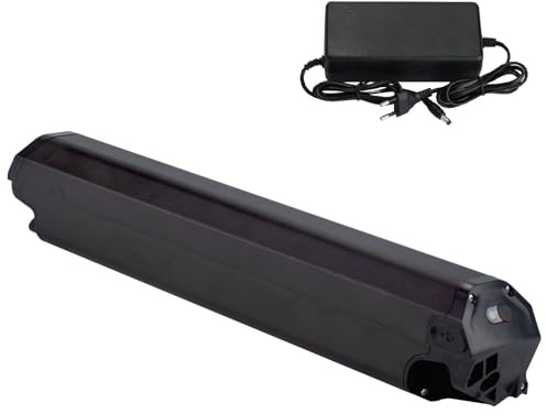 Batteria Ebike 36V 15Ah ricambio per Dorado Plus bicicletta elettrica scooter Li-ion con caricabatteria (36V 15Ah)