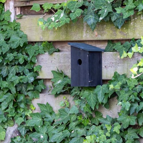 Gifts4Nature Bird Box for Gardens – Bird Nesting Box, Birdhouse – Wood FSC 100% Grey Black – 32mm Entrance Hole – Drainage Holes, Side-Opening Panels