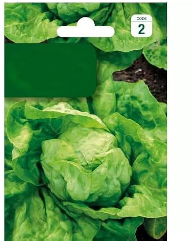 Semillas de Lechuga Maravilla Verano Fácil Germinación Planta Mediterránea Uso Culinario