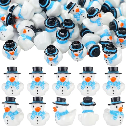 Weysat 60 Pcs Mini Winter Snowman Resin Ducks Tiny Resin Snowman Figures Micro Landscape Crafts Small Garden Ornaments for Cruise Ship Winter Party Birthday Gift Supply