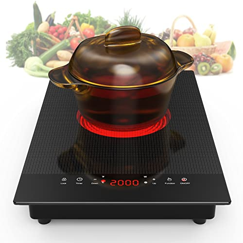 VBGK Electric Cooktop,110V Electric Stove Top,Single Burner Electric Cooktop LED Touch Control,9 Power Levels, Kids Lock &Timer,Overheat Protection,2000W Portable Burner