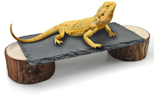 GXSDJ Bearded Dragon Basking Platform,8×4×1.6inch Reptile Heat Storage Slate Stone with Wooden Pile,Gecko Heating Rocks and Hide Cave,Reptile Basking Rocks for Lizards,Snakes,Chameleon,Turtle