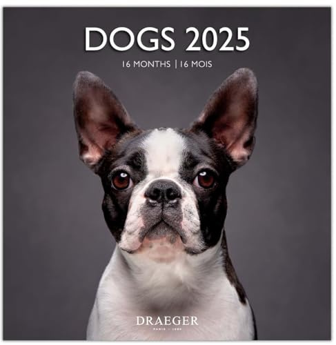 DRAEGER PARIS 1886 - Gran calendario mural 29 x 29 cm 2025-7 idiomas - Septiembre 2024 a diciembre 2025-12 fotografías disponibles en varios temas - Perros - Nota de citas, cumpleaños