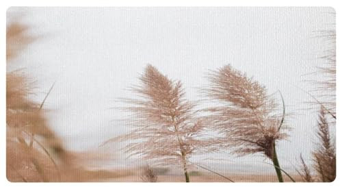 VAPOKF Tappeto da cucina con canna, antiscivolo, lavabile, assorbente, per cucina, corridoio, lavanderia