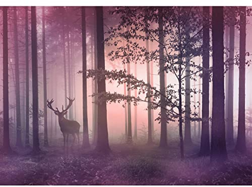 Runa Art Papier peint intissé Forêt brouillard cerf 352 x 250 cm Toison Mur XXL Tableaux Muraux Tapisserie Photo Décoration Murale Salon Chambre rose-mauve 9338011b