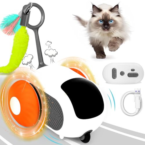 Katzenspielzeug Selbstbeschäftigung, Interaktives Katzenspielzeug, Katzenspielzeug Ferngesteuert, 2 Modi Katzenspielzeug Intelligenz Ferngesteuert, Elektrisch Katzen Spielzeug USB Aufladbar, Orange