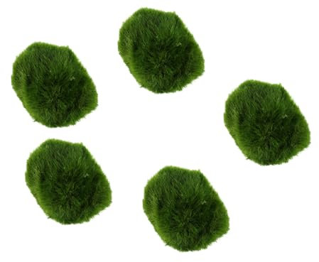 Biotope Aquatics Ltd - Live Marimo Moss Balls, Cladophora aegagropila, Aquarium Plant (5 x Moss Balls (2-3cm))