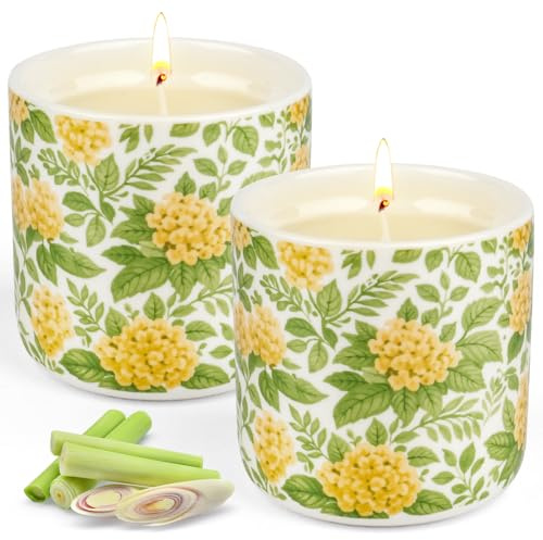 2 Velas de Citronela, 160 horas Larga Duracion Vela Citronela Exterior Grande, Velas Aromáticas Cera de Soja Naturales para Jardín, Camping, Picnic, Barbacoa, Piscina, Terrazas