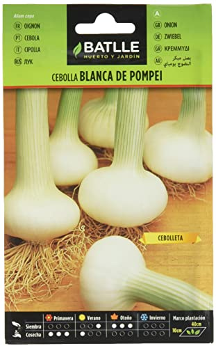 Semillas Batlle - Cebolla temprana POMPEI