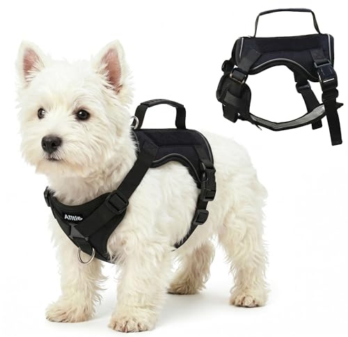 AIITLE hundsele, ingen dragning, reflekterande, justerbar väst med handtag, ingen kvävning, dubbla metall-linneklämmor för träning, små och medelstora raser, svart, storlek M