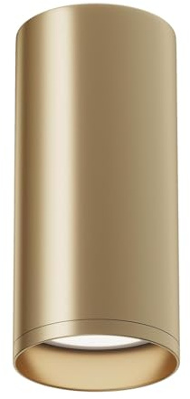 MAYTONI Spot de plafond moderne Focus en aluminium, hauteur 13 cm, cylindre, clair, excl. 1 X GU10 (50W) pour chambre à coucher, salon, salle à manger, cuisine