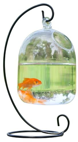 Ciotola per pesci trasparente sospesa con supporto, acquario in vaso di vetro salvaspazio per casa e ufficio