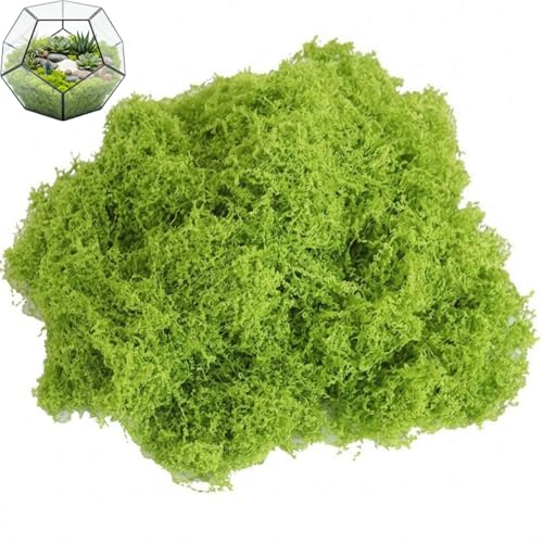 Haoyic 60 Gram Fake Moss, Floristry Supplies, Artificial Moss for Indoor Plant Pots Wreath Making Crafts, Fake Seaweed for Display Projects and Arrangements