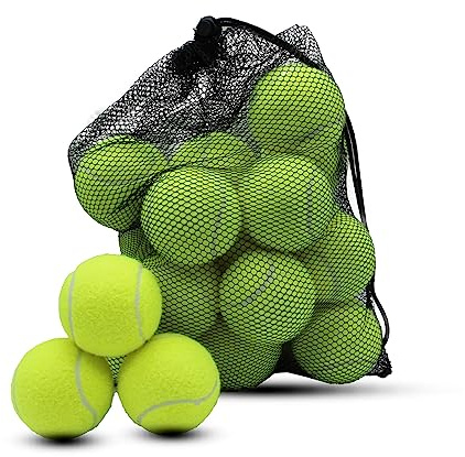 Swingers 20 Pack Tennis Balls,Training Exercise Balls for Pet Dog, High Elasticity Practice Tennis Balls for Beginner, with Mesh Carry Bag Easy to Transport (Yellow)