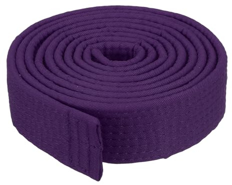 PATIKIL Taekwondo färgat rankningsbälte 4 cm x 18 cm 2,2 m, polyester kampsport judo karate bälte för tränarundervisning, lila
