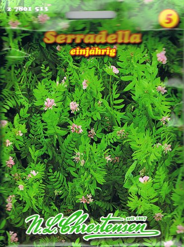 Serradella einjährig, hoher Eiweißgehalt, wertvolle Futterpflanze Gründünger