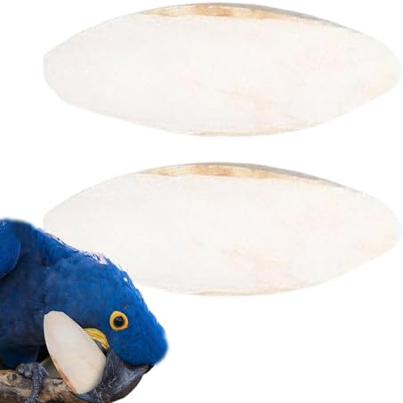 Osso di Seppia per Tartarughe, 2 Pezzi Osso di Seppia per Tartarughe Terrestri, 15-20 cm Pietra per Affilare il Becco dei Parrocchetti per Calopsite Canarino Rettile Accessori per Gabbie per Animali D