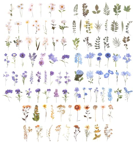LXUEJIE 200 Pcs Transparent Flower Stickers for Scrapbooking, PET Nature Stickers Vintage Craft Floral Sticker for Scrapbook, Journal, Notebook, Envelope, Water Bottle, Phone Case, Craft Decoration