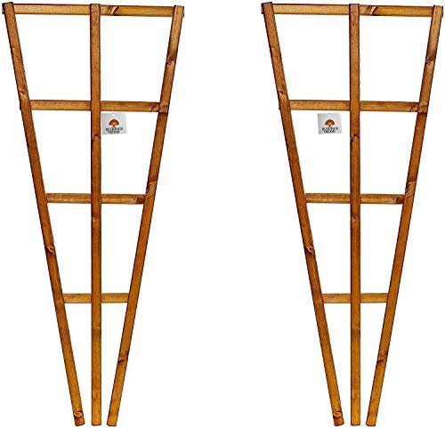 Set of 2 x Fan Wooden Wall Trellis - Timber Climbing Flower Plant Panel - Wood Climbing Rose Support Frame