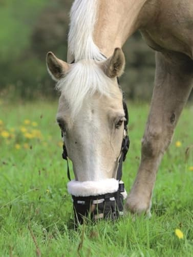 Deluxe-Weidenmaulkorb von Shires für Pferde, aus Nylon, 495NF, schwarz, Kaltblut / Warmblut extragroß