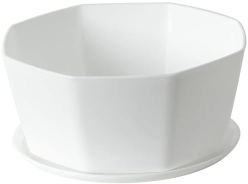 Jorzer 5.9 Succulent Pots, Ceramic Succulent Planter Pots with Drainage Hole, Shallow Plant Pot for Indoor Plants Round Shallow Bonsai Pot with Bamboo Tray, White