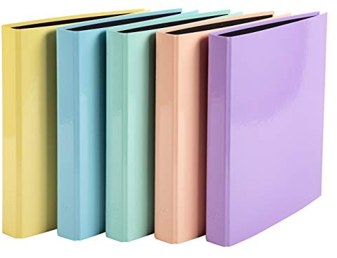 Exacompta Cod. 51560E Cartone da 10 raccoglitori rigidi per acquerello, 4 anelli a D da 25 mm, dorso 40 mm, dimensioni esterne: 31,5 x 27 cm, formato A45 colori assortiti