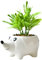 Qixuer Pot de Fleurs en Forme de Hérisson, Plant Pot en Céramique Petits Pots de Fleurs Pots de Plantes pour Mini Plantes Cactus, Décoration du Jardin de la Maison Ou du Bureau.