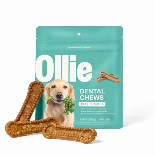 Ollie Dental Chews for Large Dogs, 51+ lbs, 12 oz