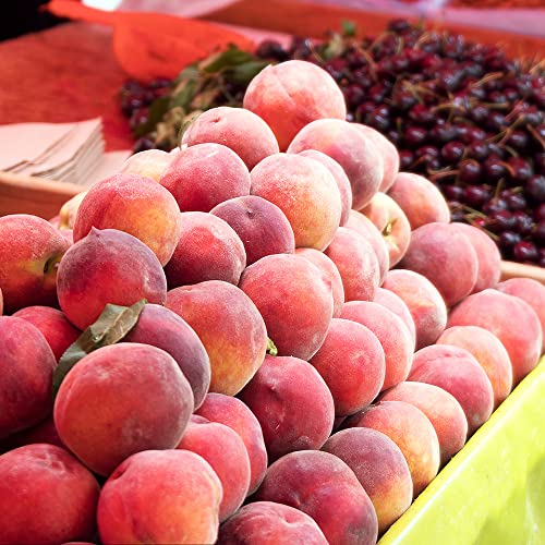 Pfirsichbaum 2 Obstsamen Geschenk Garten Hochbeet Balkon Balkon Pflanze Pfirsichbaum Winterhart Obst Samen Pflanzen Garten Pfirsichbaum Kaufen