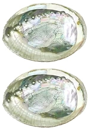 2 cuencos grandes de concha de abulón coloridos de 4 a 4.5 pulgadas, exquisito cuenco natural para quemar salvia e incienso para decoración, exhibición y gran regalo, soportes de incienso