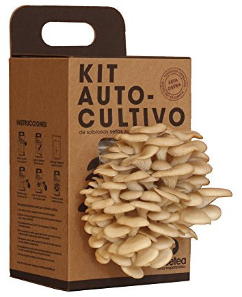 Kit de Cultivo de Setas en Casa | Cultiva Setas Ostra Frescas en 15 Días | Regalo Original para Foodies, Chefs y Amantes de la Cocina | Fácil y Divertido | Resetea
