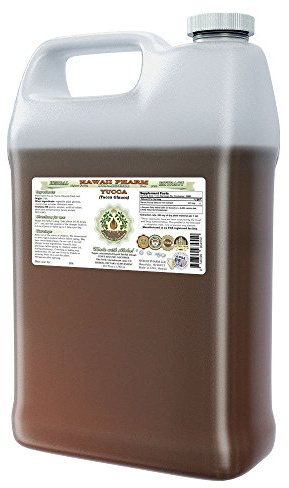 Hawaii Pharm Yucca Alcohol-Free Liquid Extract, Yucca (Yucca Glauca) Dried Root Glycerite Natural Herbal Supplement, USA 64 fl.oz
