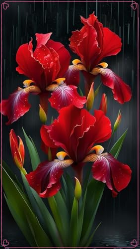 Fácil de cultivar. Otoño o primavera Excelente para plantar en interiores o exteriores.En maceta.Bulbos de Iris-5 Bulbos-D