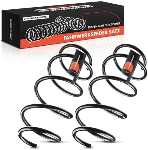 Frankberg 2x Muelles de chasis Muelles de suspensión Compatible con M.e.g.a.n.e III Grandtour KZ0/1 M.e.g.a.n.e III Compacto B3 BZ0/1 Replace# 540100023R,RA3987