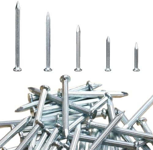 ORTAVA 100 Stück Stahlnägel, Nägel für betonwände, Nails Verzinkt, Nagel Holzarbeiten Ziegelstein, Universelle Einsatzmöglichkeit im Innen- und Außenbereich (20mm)