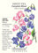 Blend cuento de semillas de guisantes dulces - 2 gramos - Anual