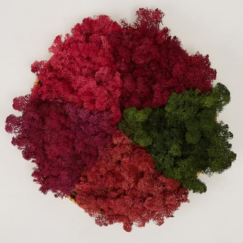 Prefleur Preserved Reindeer Mix Craft Moss Natural Green DIY Kit Gardenning Art Wall Decor Florist Easter Table Decor Wedding Decor (1lb)()(Style-17)