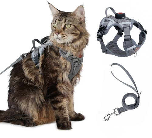 Cat Harness and Leash Set with AirTag Holder: Escape Proof Upgraded Vest with Lead for Small Cat Kitten Puppy Walking，Soft Breathable Mesh Coat with Reflective Strip, Grey, S