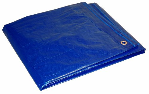Dry Top Multi-Purpose Economy Poly Tarp, 20x30 Feet, Blue