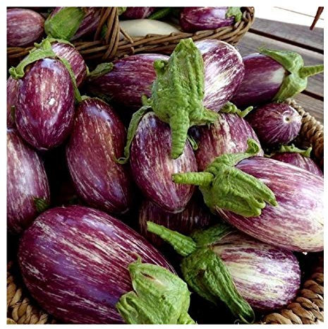 PREMIER SEEDS DIRECT - Aubergine Seeds - LISTADA DE Gandia - 200 Finest Seeds