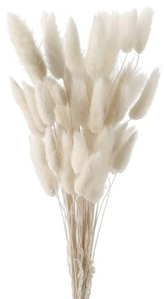 Code di Coniglio Erba della Pampa, FENGCHUANG-Pianta Boho Fiori Secchi Naturali, 60 Pezzi Pampas Decorative per Decorazioni Casa Tavola Matrimonio (Bianco-60)