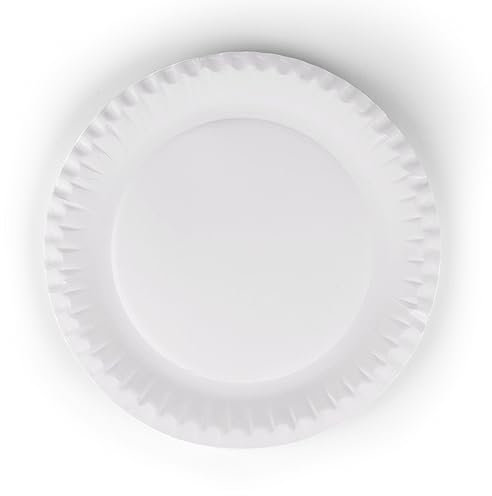 Inoverse 500 piatti di carta, bianchi, usa e getta, rotondi, 23 cm, ecologici, stoviglie usa e getta, piatti da torta, piatti monouso in cartone, piatti di carta