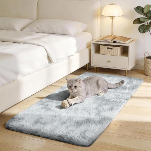 LNZHAO Rugs Living Room – 120x60 CM Grey Area Rugs for Bedroom – Fluffy Shaggy Rug Washable Modern Floor Carpet – Soft Non Slip Rug Bedside Rug for Kids Room, Lounge, Dining Room
